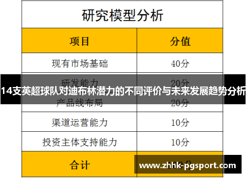 14支英超球队对迪布林潜力的不同评价与未来发展趋势分析