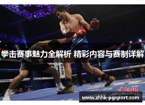 拳击赛事魅力全解析 精彩内容与赛制详解