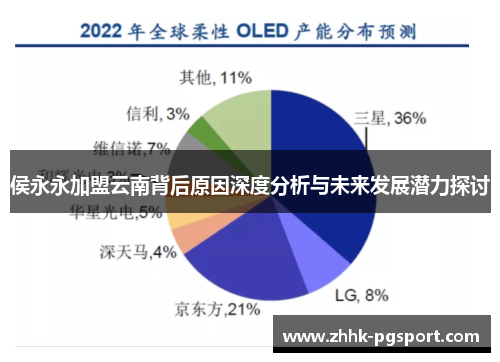 侯永永加盟云南背后原因深度分析与未来发展潜力探讨