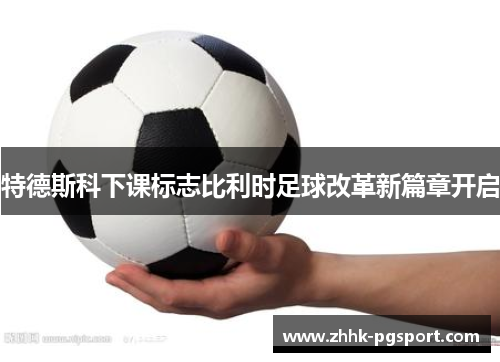 特德斯科下课标志比利时足球改革新篇章开启