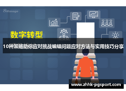 10种策略助你应对挑战蝙蝠问题应对方法与实用技巧分享
